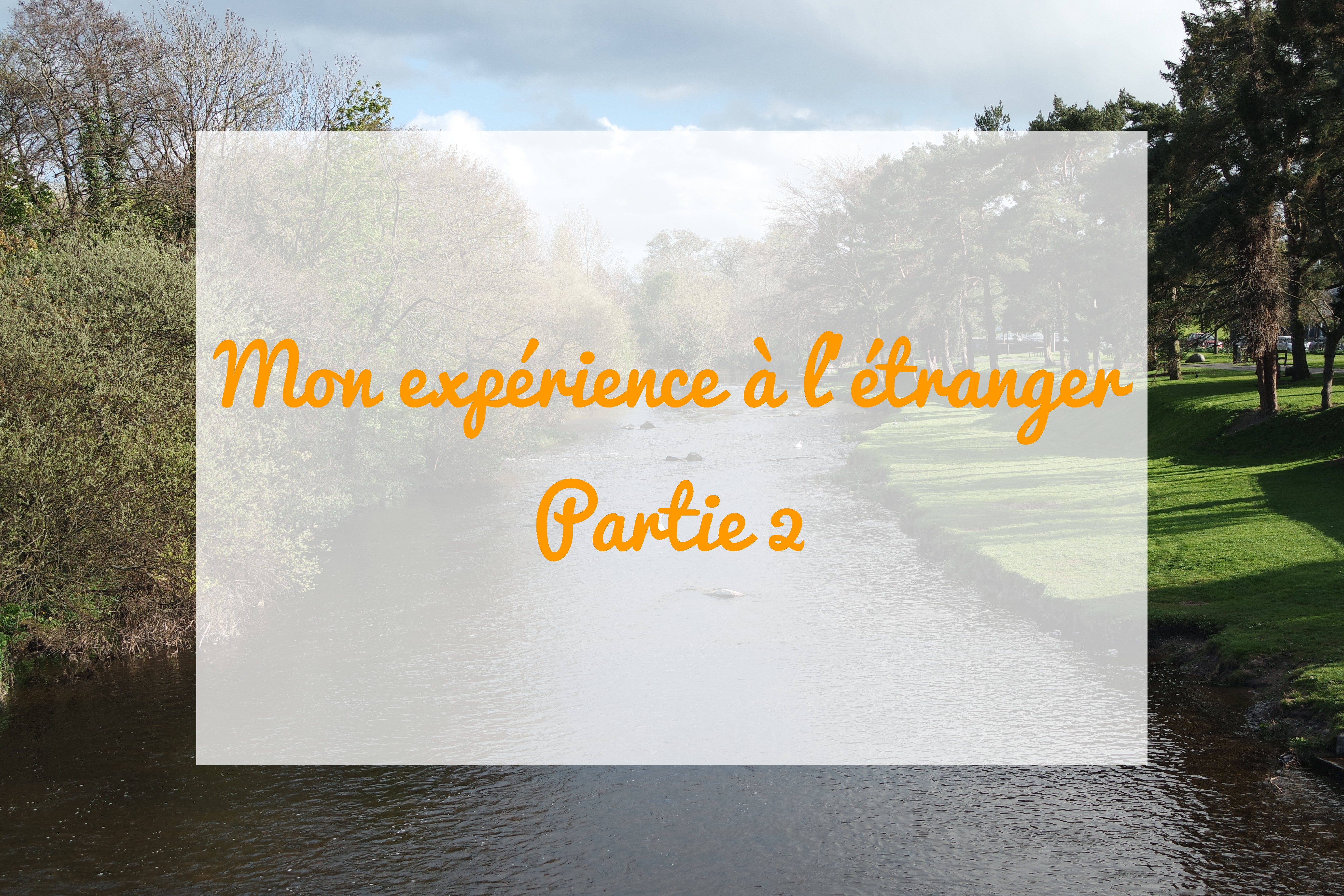 expérience étranger