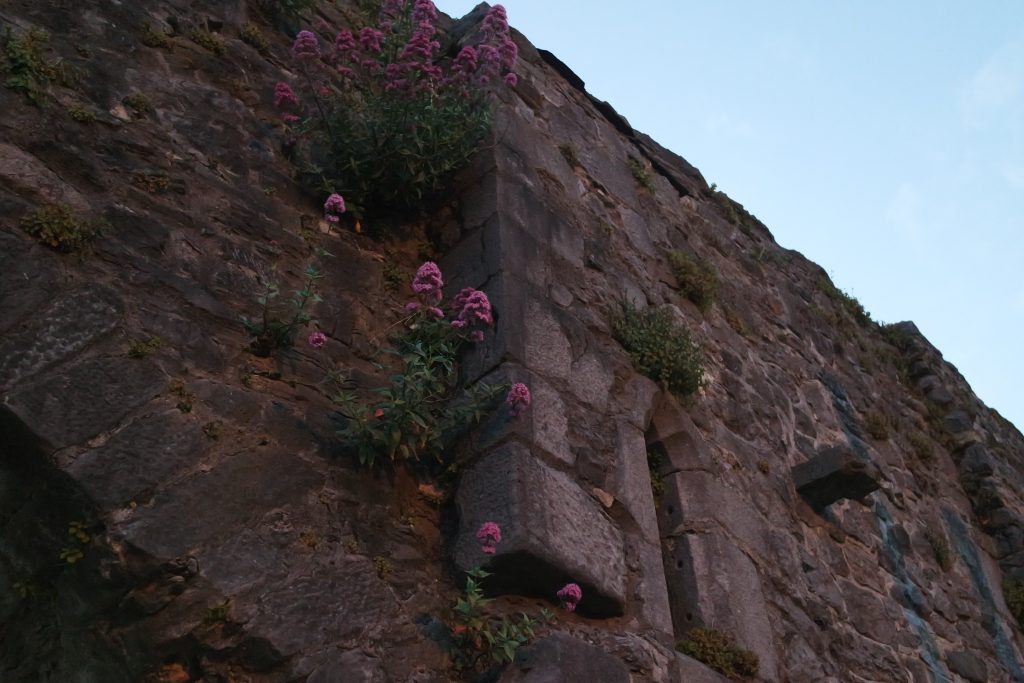 SPANICH ARCH galway irlande voyage