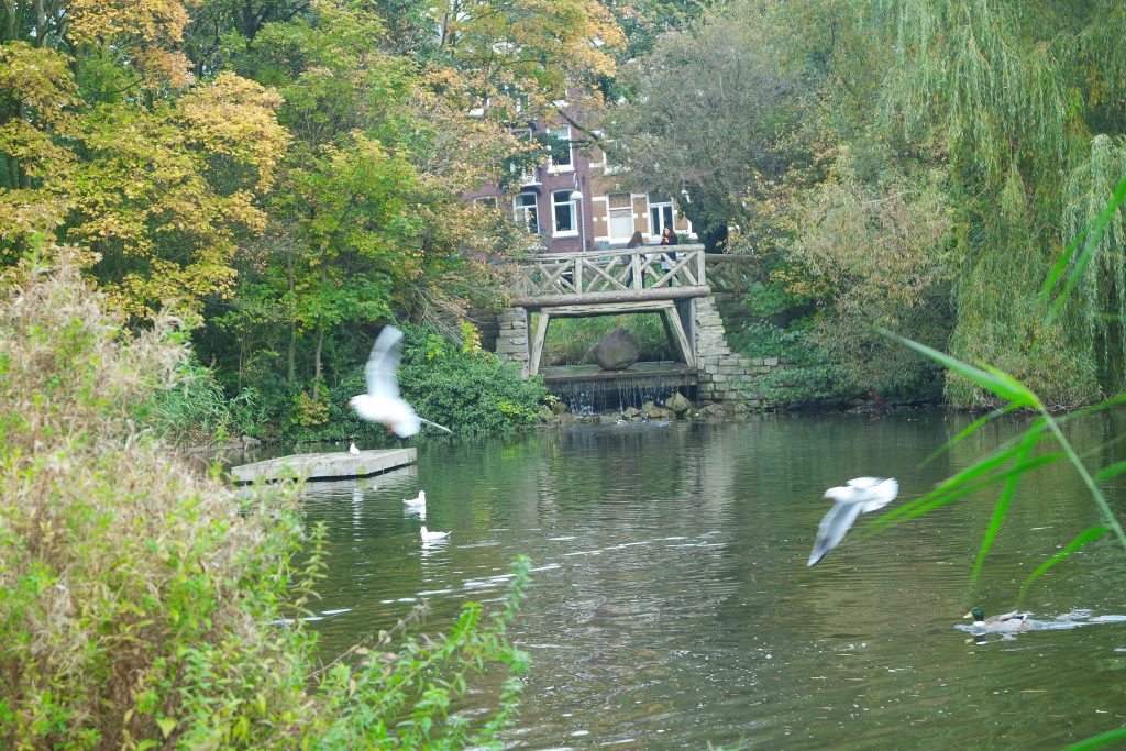 SARFATI PARK AMSTERDAM PAYS BAS
