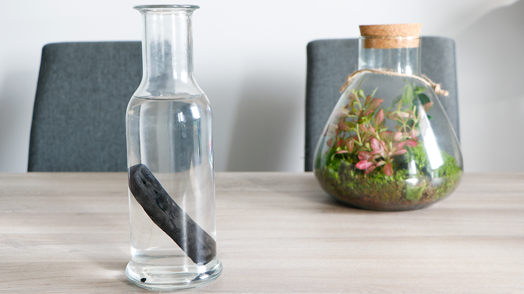 cruche en verre charbon terrarium zero dechet