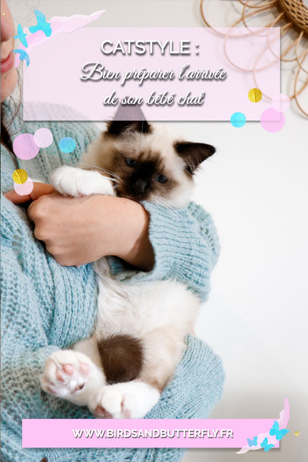 bien-préparer-l'arrivée-de-son-chat