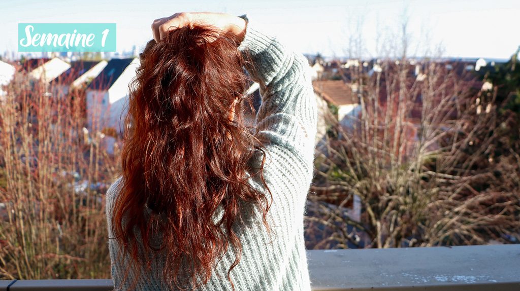 Début-cure-de-sebum