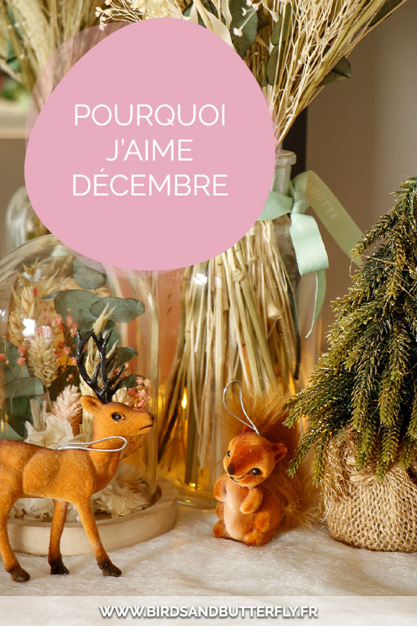 pourquoi-j'aime-décembre