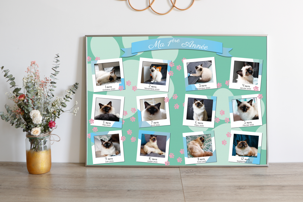 illustrations personnalisées cadre ma première année illustration digitale